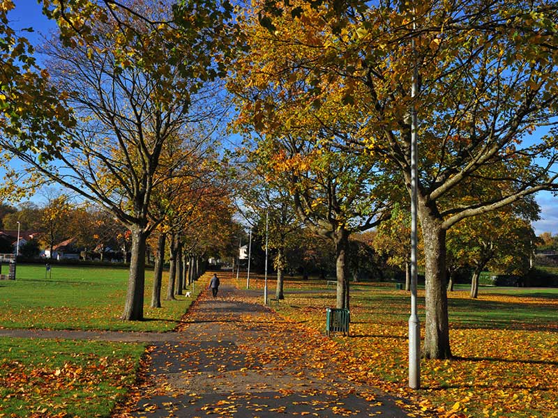 West End Park | North Lanarkshire Council