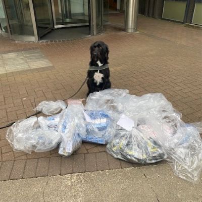 Illegal cigarettes and tobacco seized in North Lanarkshire with the help of Boo the dog.