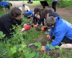 Wildflower planting at Dalzell Estate, Motherwell