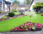 Garden with small tree and flowers