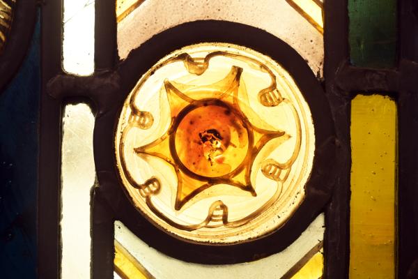 Sunflower on Airdrie Library Glass