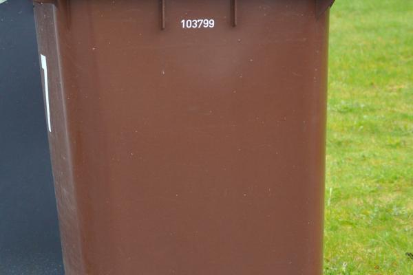 Brown bin