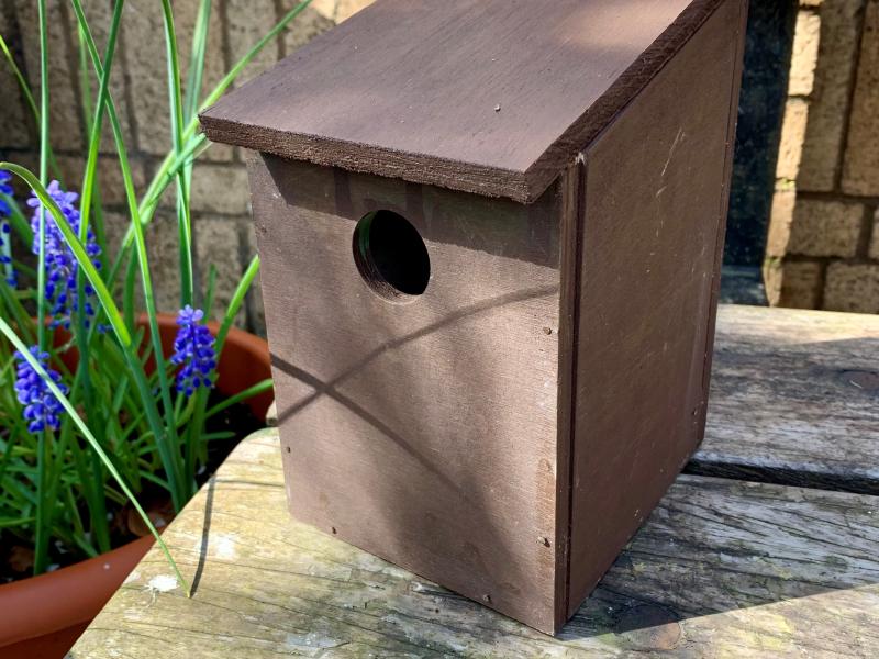 Build a Bird Box