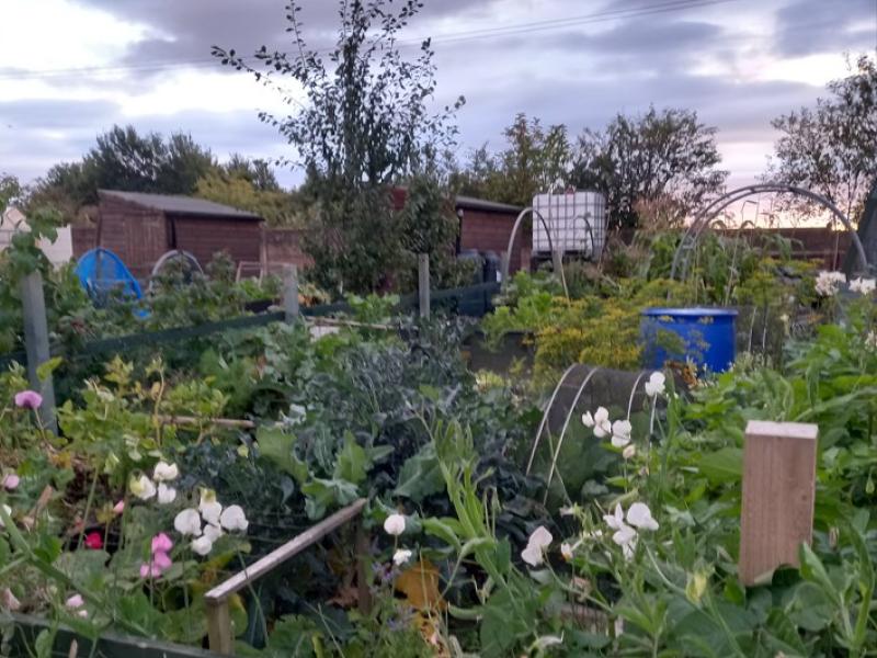 Allotment Area