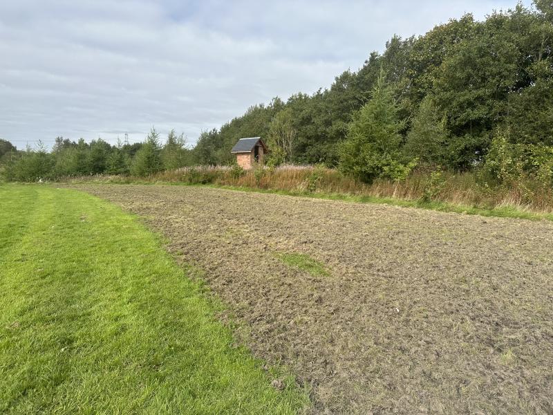 Cleared and scarified wildflower meadow