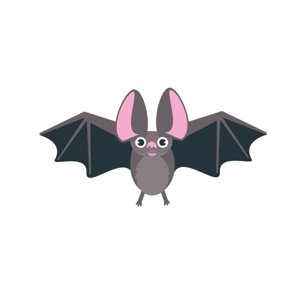 Bat