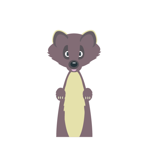 pine marten